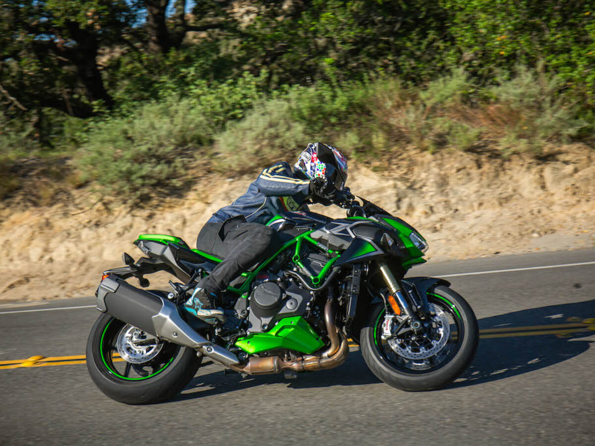 セイカ Y5B7839-copy-1200x900.jpg