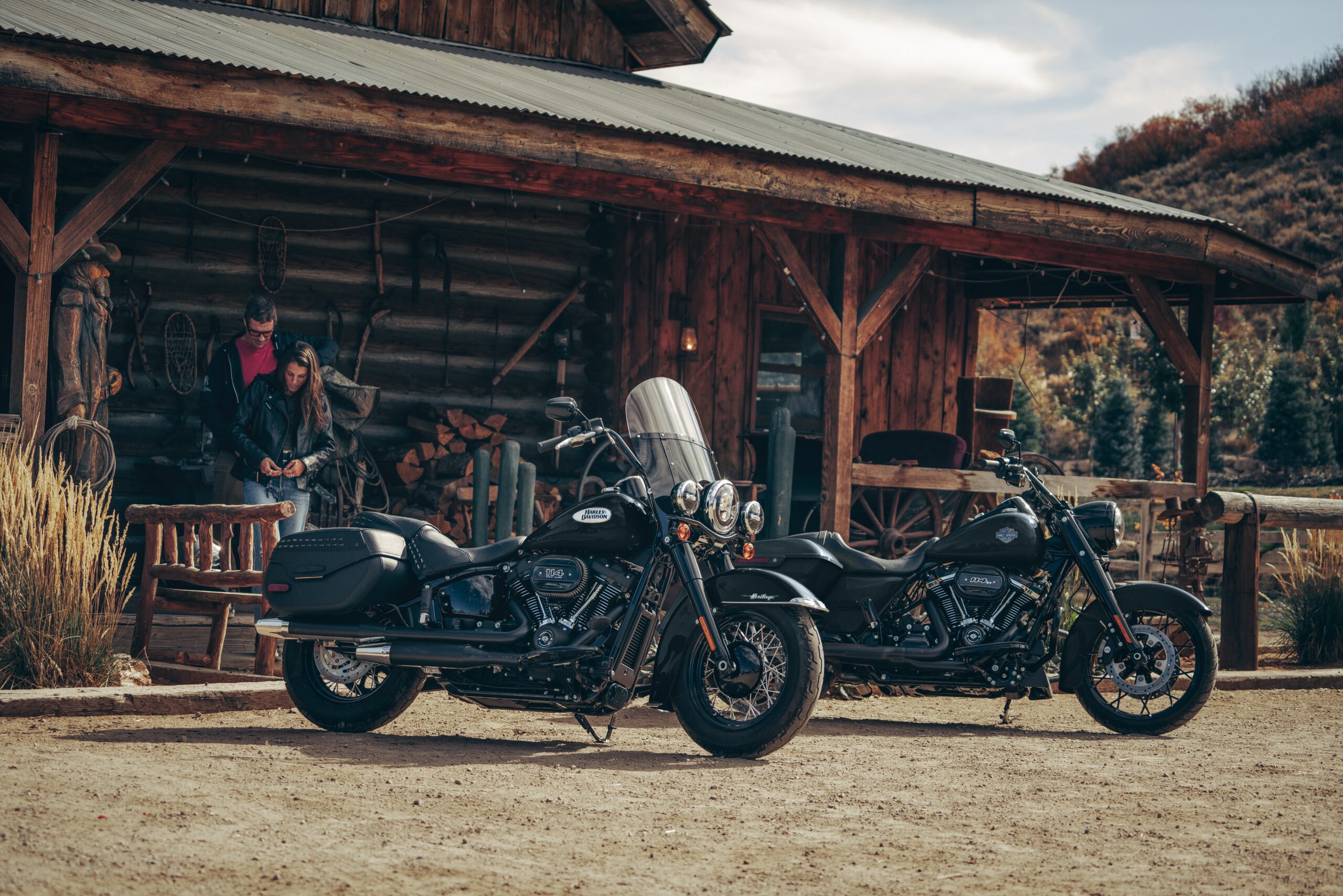 2024 Harley Davidson Lineup Dotty Johannah