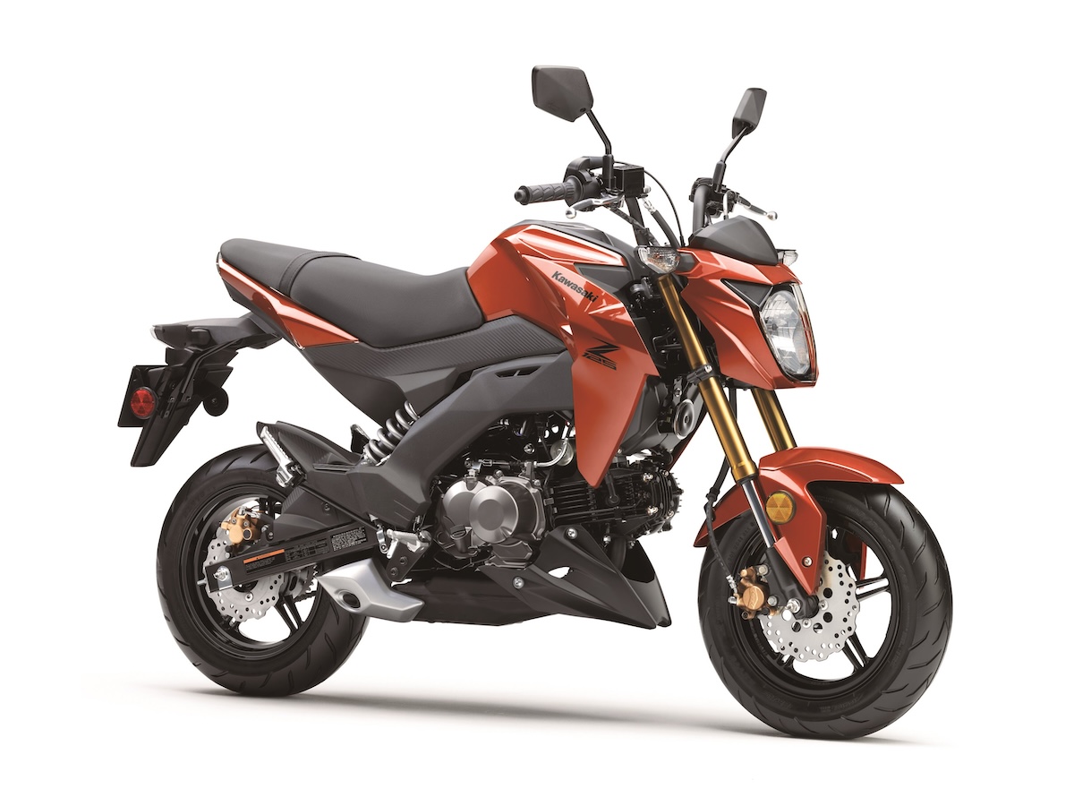 2025 Kawasaki Z125 PRO 5